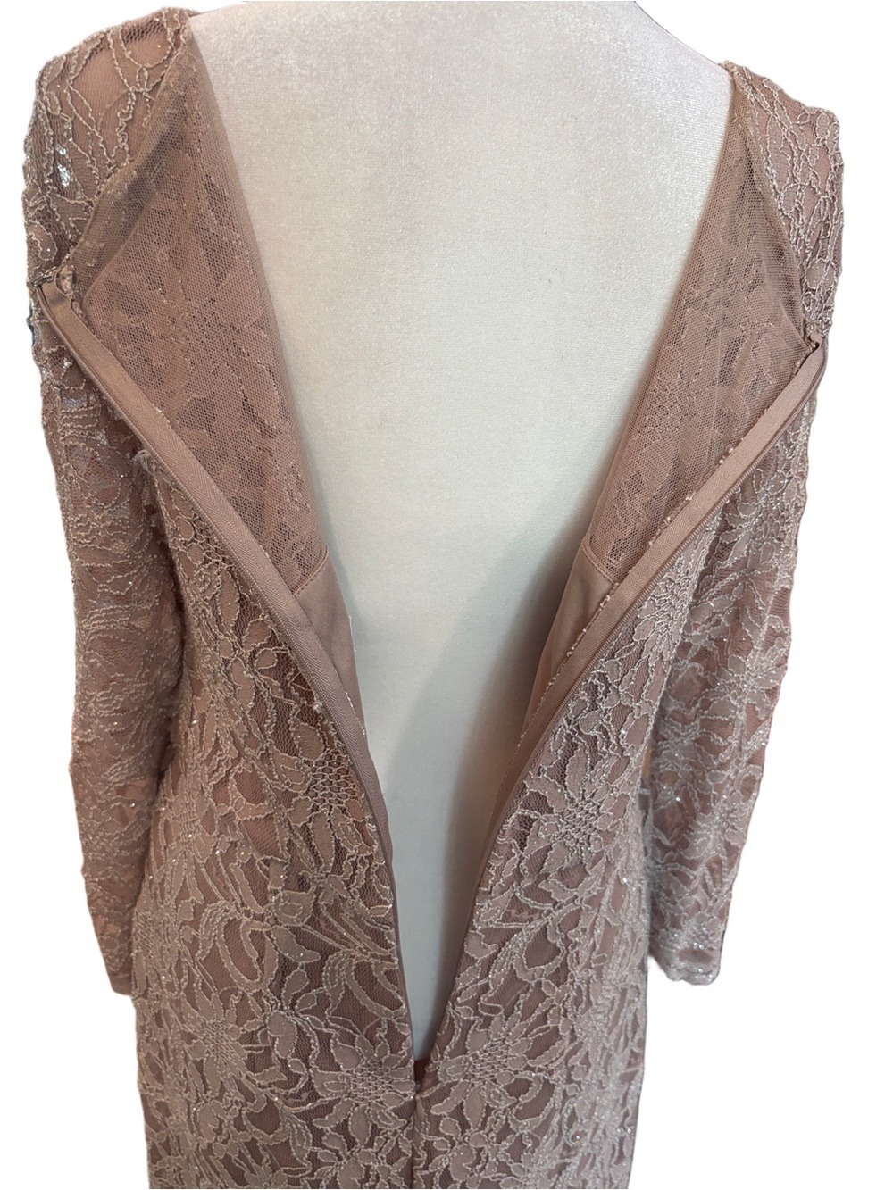 Jackie Jon Sz 8 lace and beaded long sleeve cocktail dress. Blush formal party - Picture 7 of 10